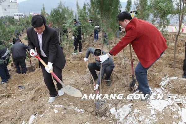 皇冠线上体育