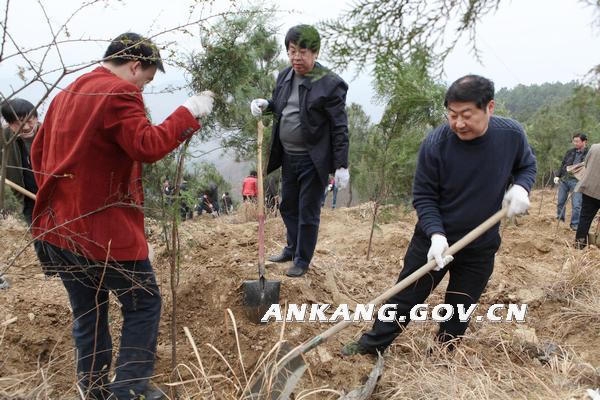 皇冠线上体育