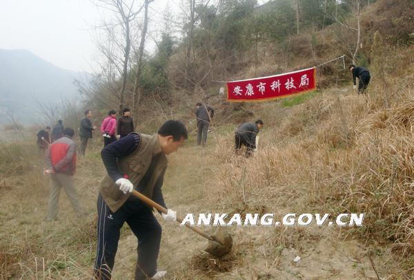 皇冠线上体育