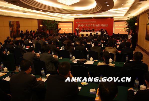 皇冠线上体育