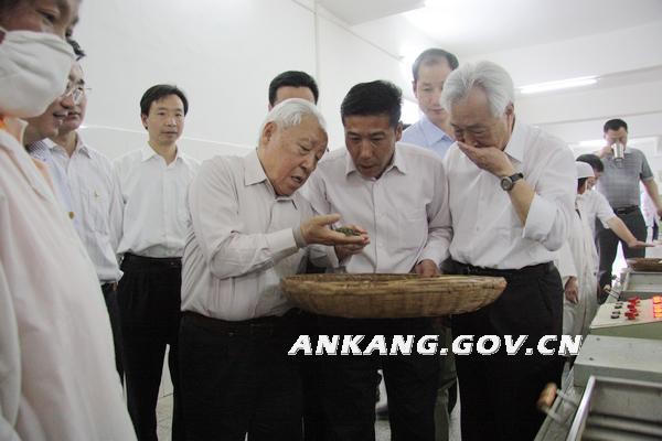 皇冠线上体育