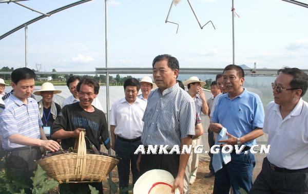 皇冠线上体育