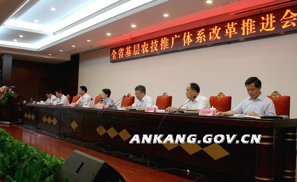 皇冠线上体育