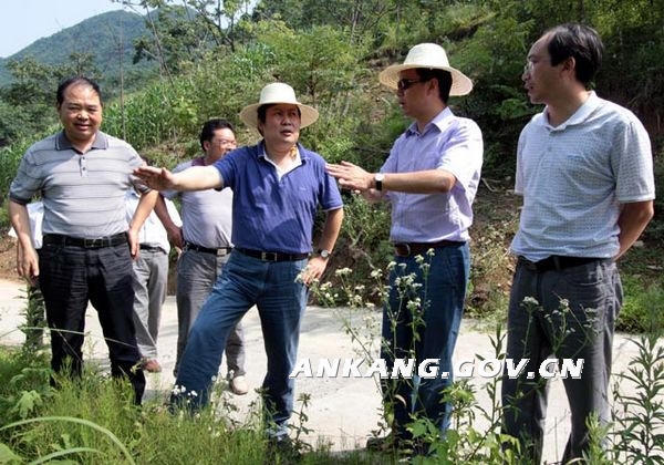 皇冠线上体育