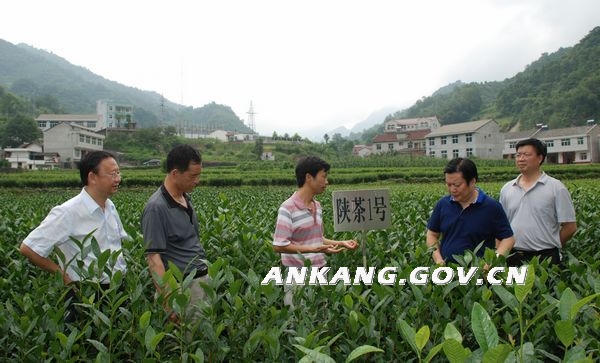 皇冠线上体育