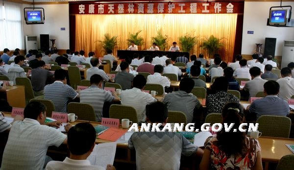 皇冠线上体育