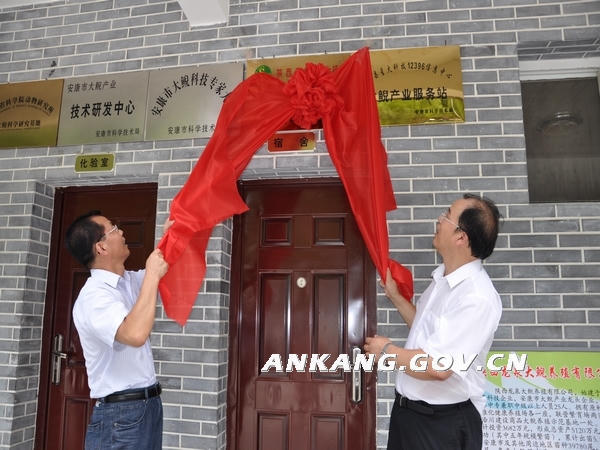 皇冠线上体育