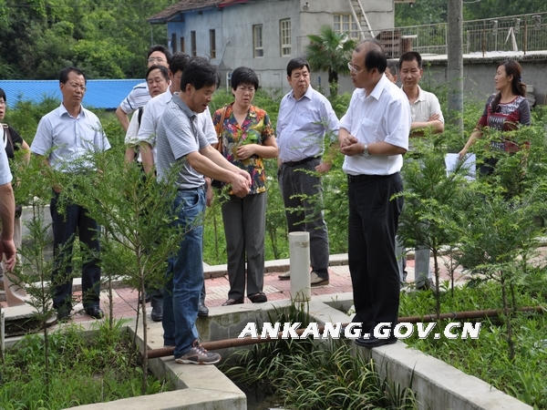 皇冠线上体育