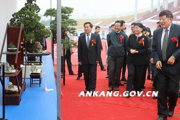 皇冠线上体育