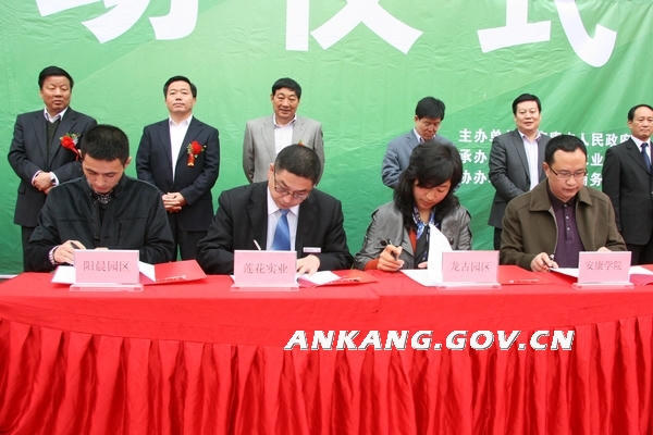 皇冠线上体育