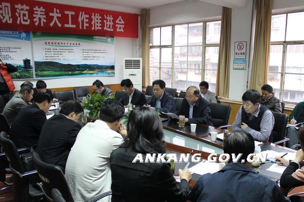 皇冠线上体育