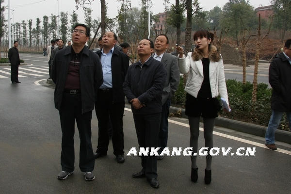 皇冠线上体育