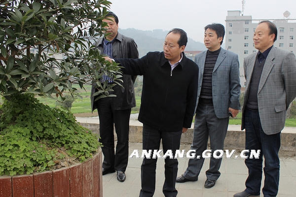 皇冠线上体育