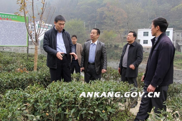 皇冠线上体育