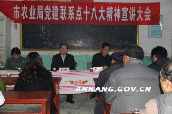 皇冠线上体育