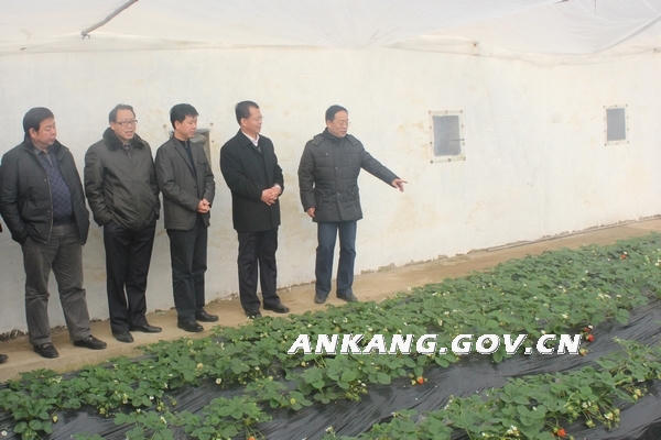 皇冠线上体育