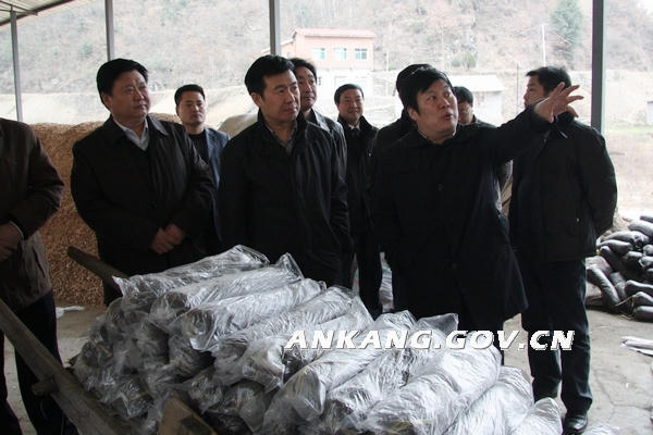 皇冠线上体育