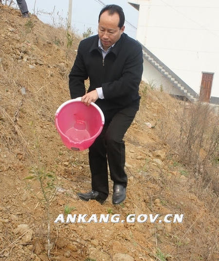 皇冠线上体育