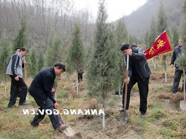 皇冠线上体育