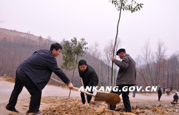 皇冠线上体育
