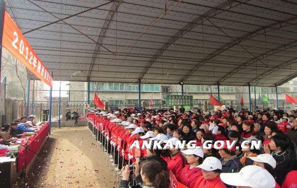 皇冠线上体育