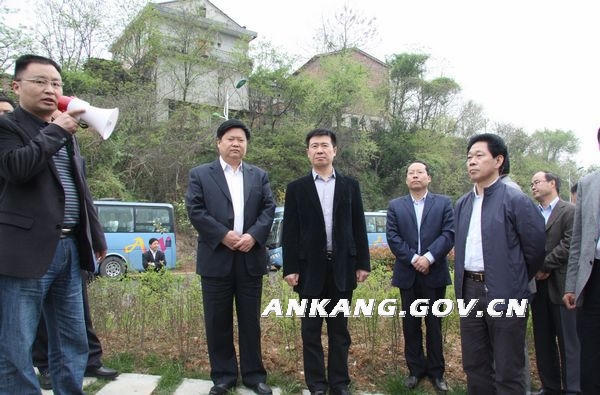 皇冠线上体育
