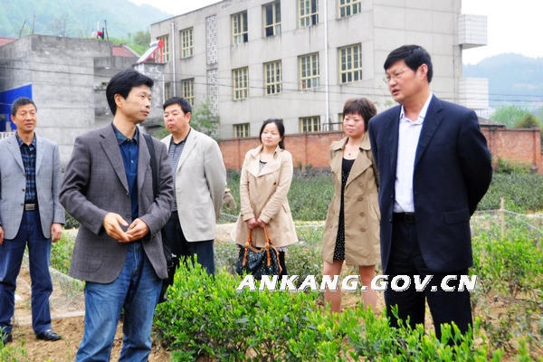 皇冠线上体育