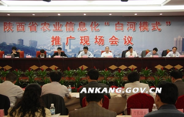 皇冠线上体育