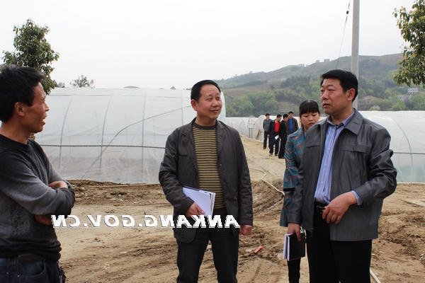皇冠线上体育