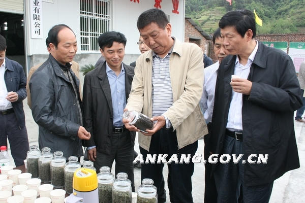 皇冠线上体育