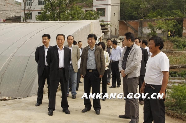 皇冠线上体育