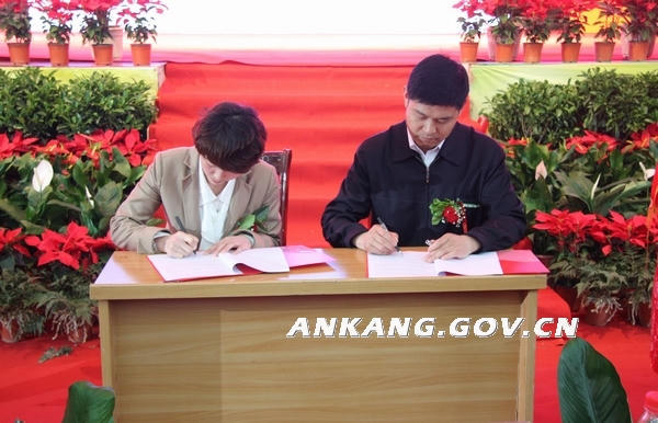皇冠线上体育