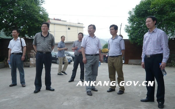 皇冠线上体育