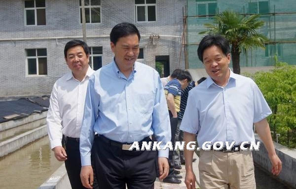 皇冠线上体育