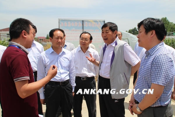 皇冠线上体育