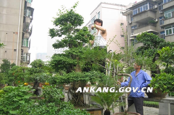 皇冠线上体育