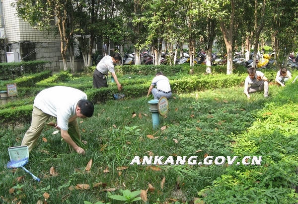 皇冠线上体育