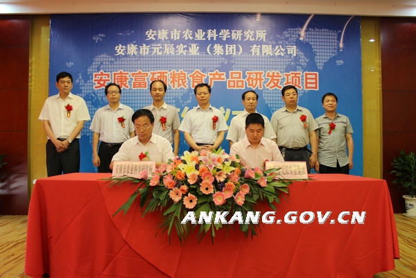 皇冠线上体育