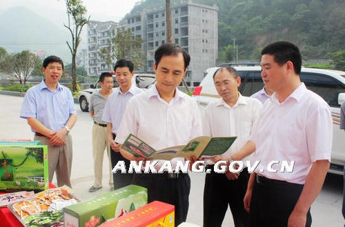 皇冠线上体育