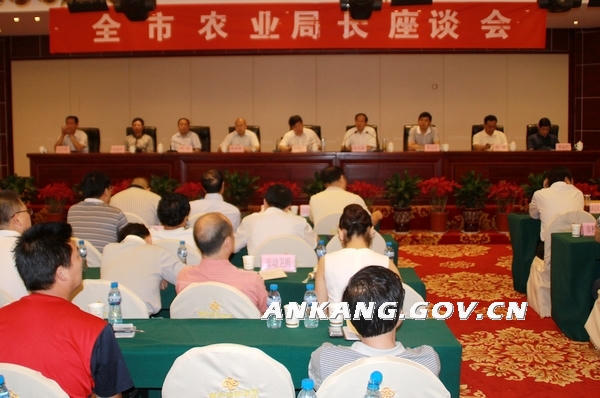 皇冠线上体育