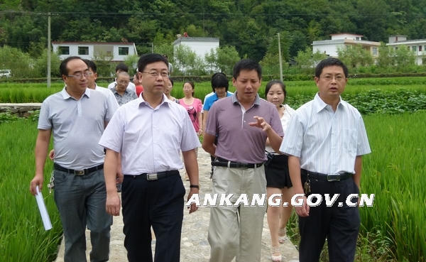 皇冠线上体育