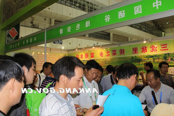 皇冠线上体育