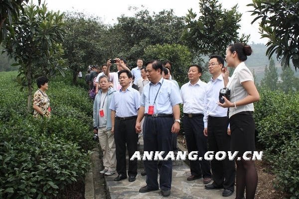 皇冠线上体育