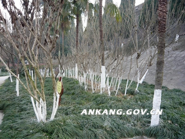 皇冠线上体育