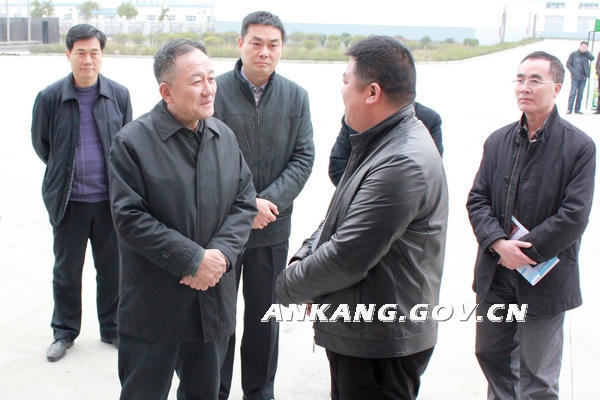 皇冠线上体育