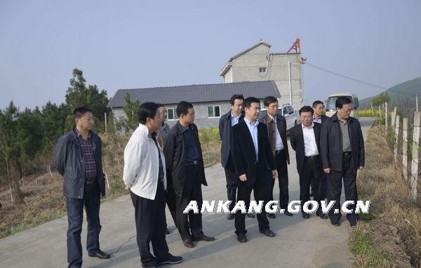 皇冠线上体育