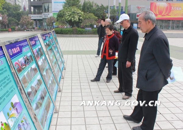 皇冠线上体育