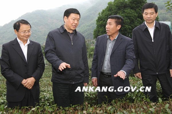 皇冠线上体育
