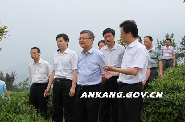 皇冠线上体育