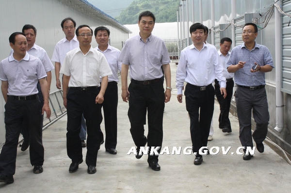 皇冠线上体育